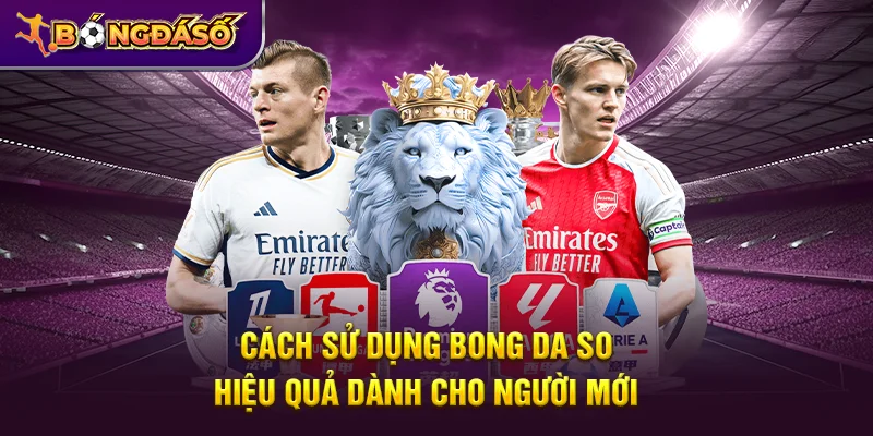 Cách sử dụng Bongdaso hiệu quả dành cho người mới